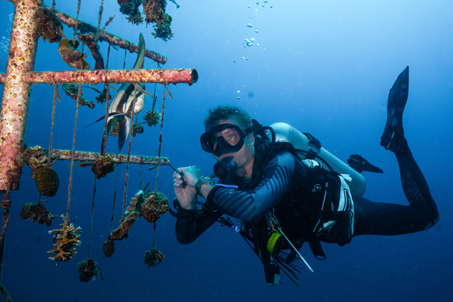 Living lab indonesia 1