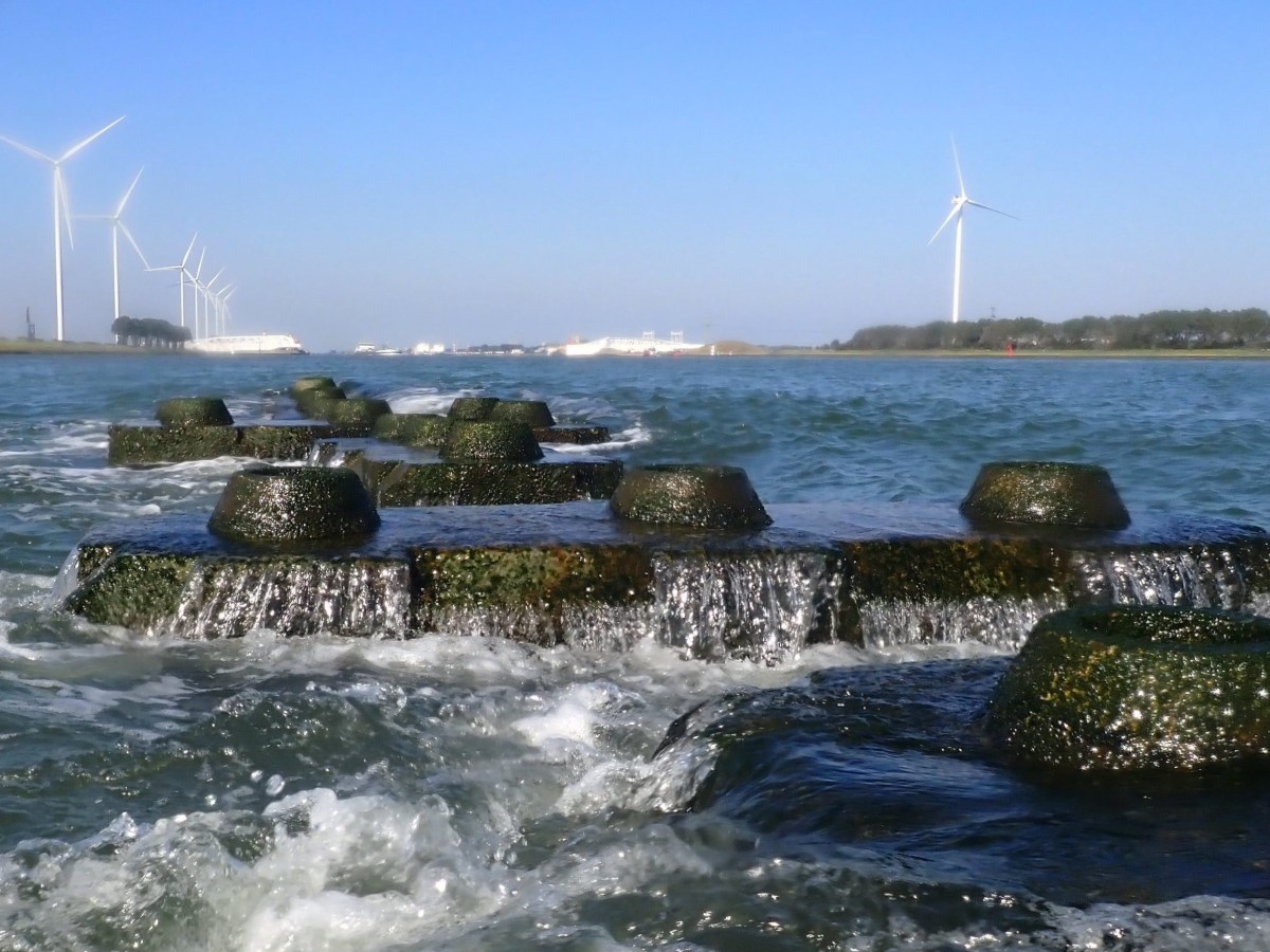 Rotterdam Reef Straight